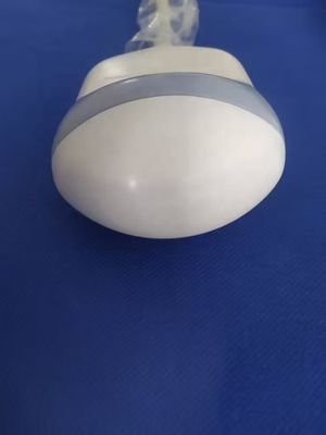 진단 영상 시스템 초음파 탐사기 GE RAB2-5L Voluson 730 4D와 호환