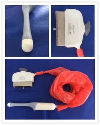 GE RIC5-9-D Voluson E6 정밀 의료 진단용 음파 횡단 탐사