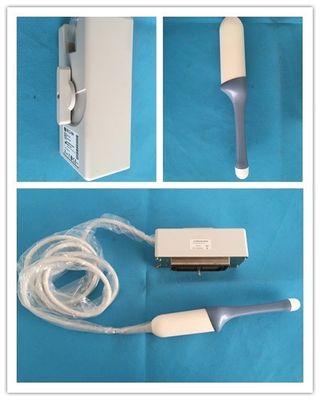 2급 초음파 호환형 탐사기 4D 횡성성 GE RIC5-9H
