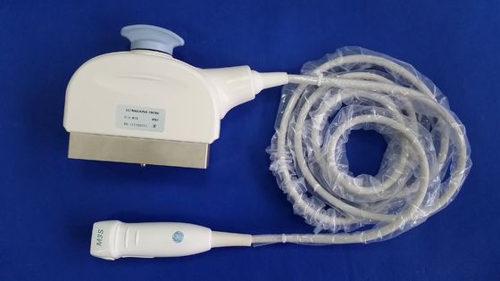 GE Logiq 7 초음파 스캐너에 대한 II급 행렬 심장 탐사기 정확성 및 진단