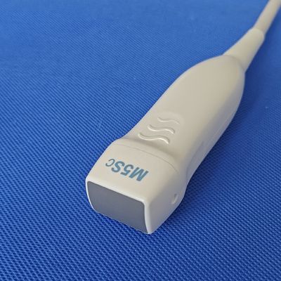 GE M5Sc-D 초음파 프로브 의료 진단 기능과 GE Logiq S8 호환성