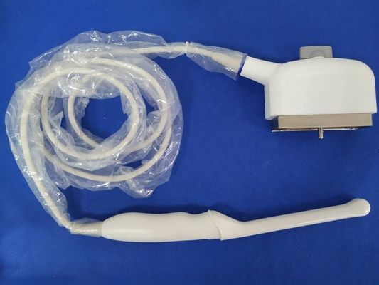 전기 육상풍 EC9-4/10E XAX 합동 탐사기 횡성 초음파 스캔